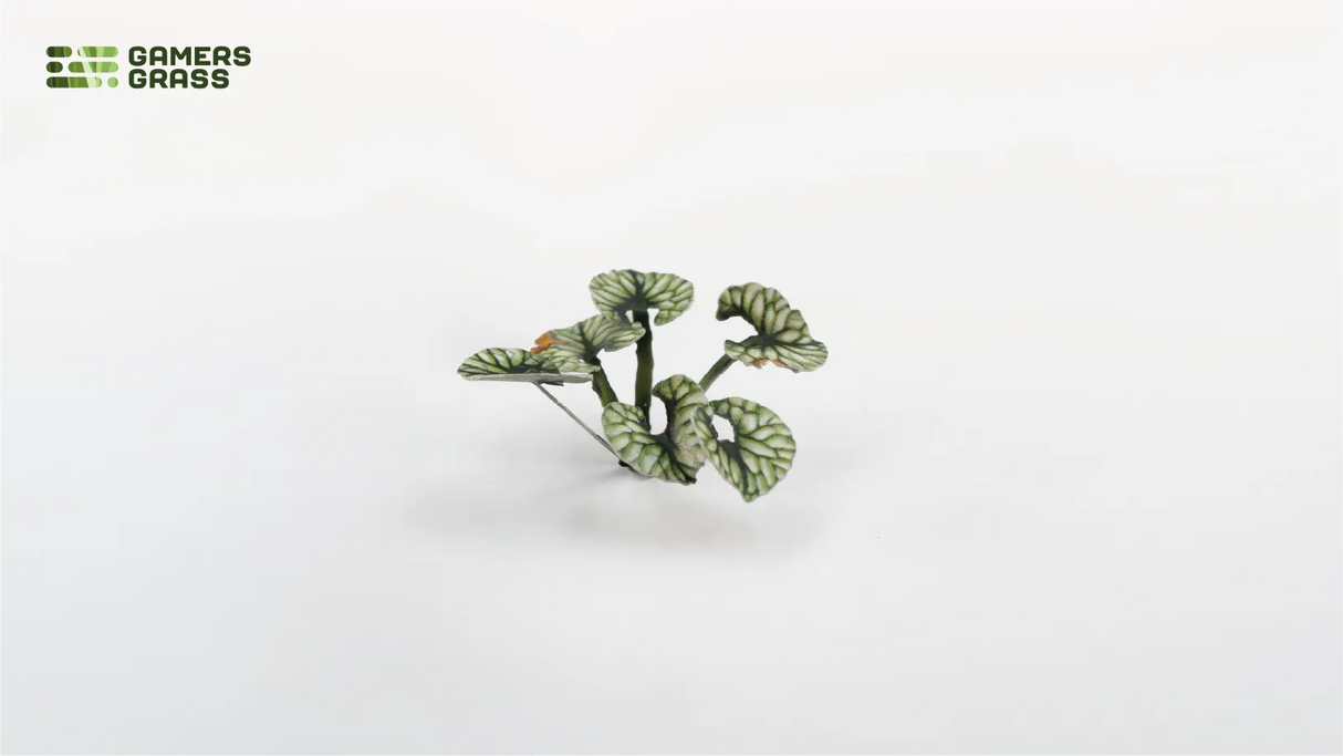 Gamers Grass - Laser Plants Bugloss