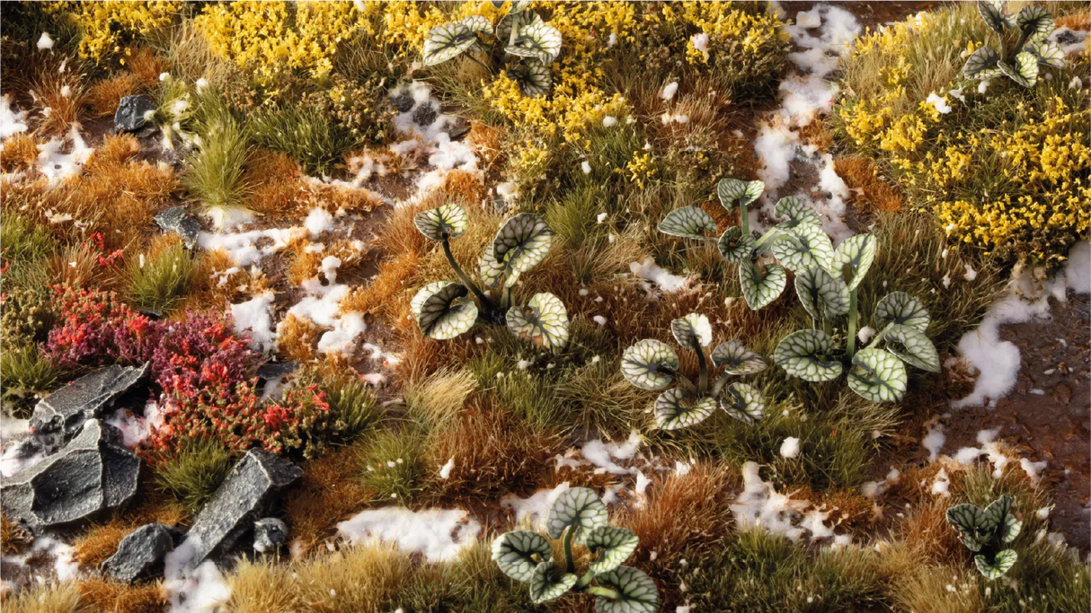 Gamers Grass - Laser Plants Bugloss