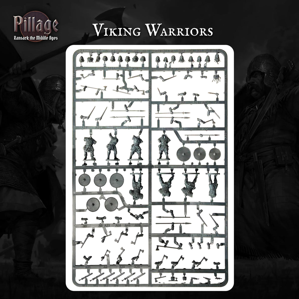 Pillage - Introductory Set