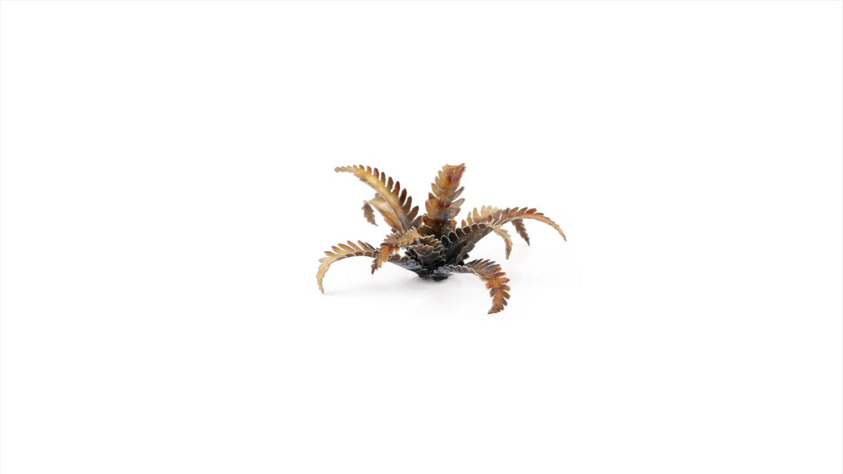 Gamers Grass - Laser Plants Alien Fern