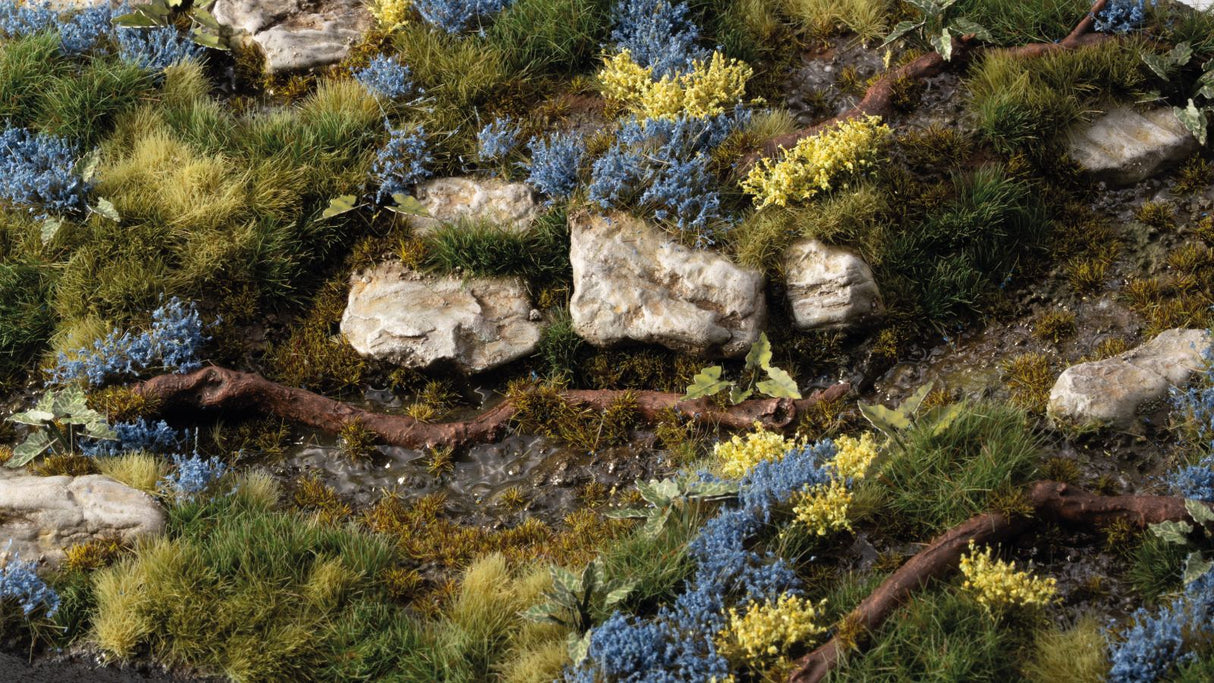 Gamers Grass - Bluebeard Flowers