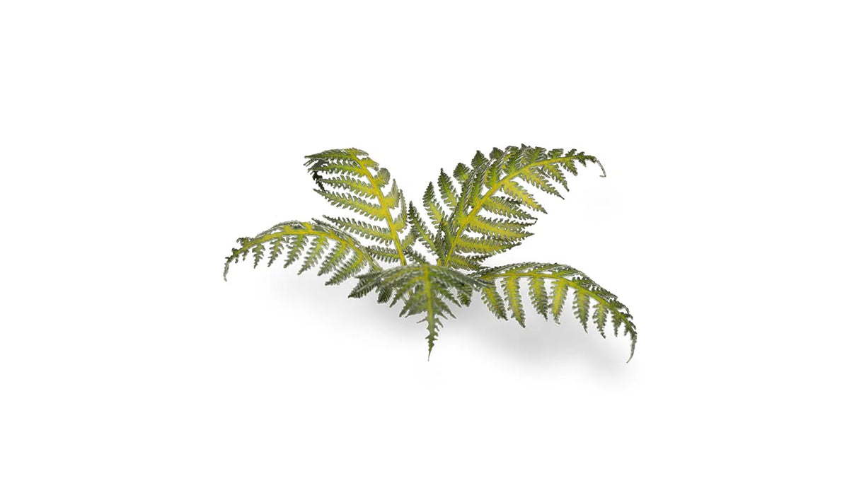 Gamers Grass - Laser Plants Bracken