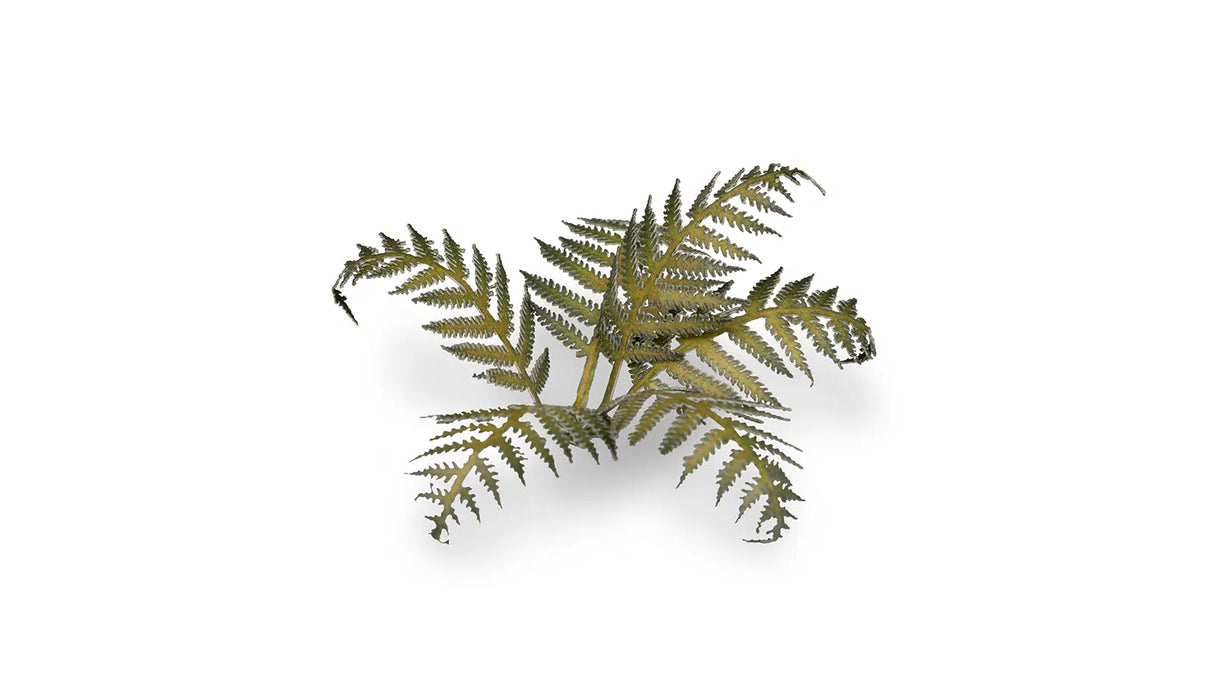 Gamers Grass - Laser Plants Bracken