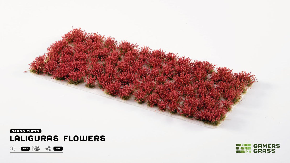 Gamers Grass - Laliguras Flowers