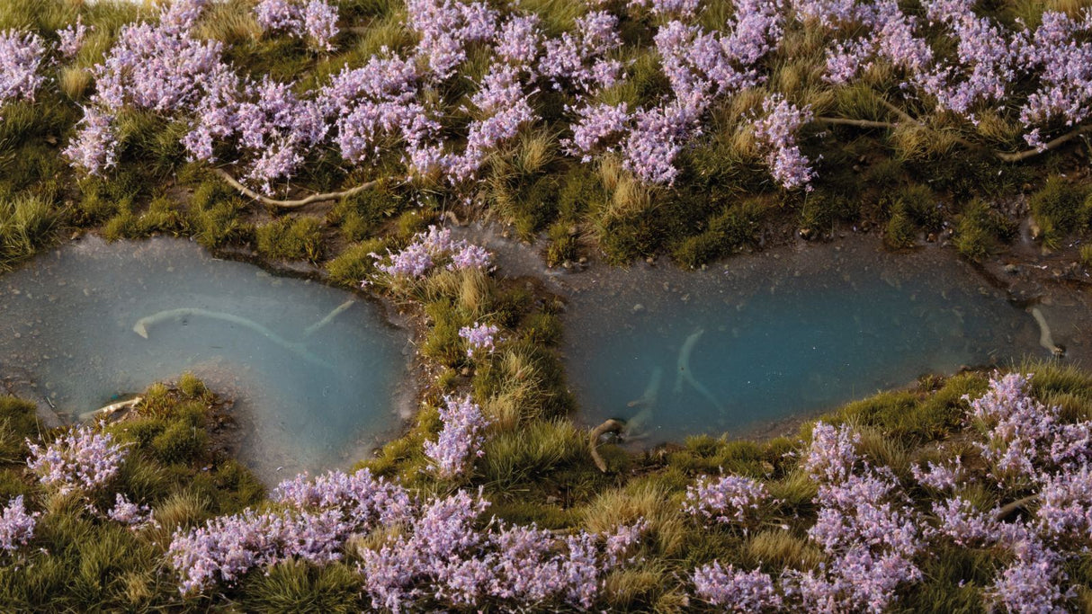 Gamers Grass - Lavender Flowers