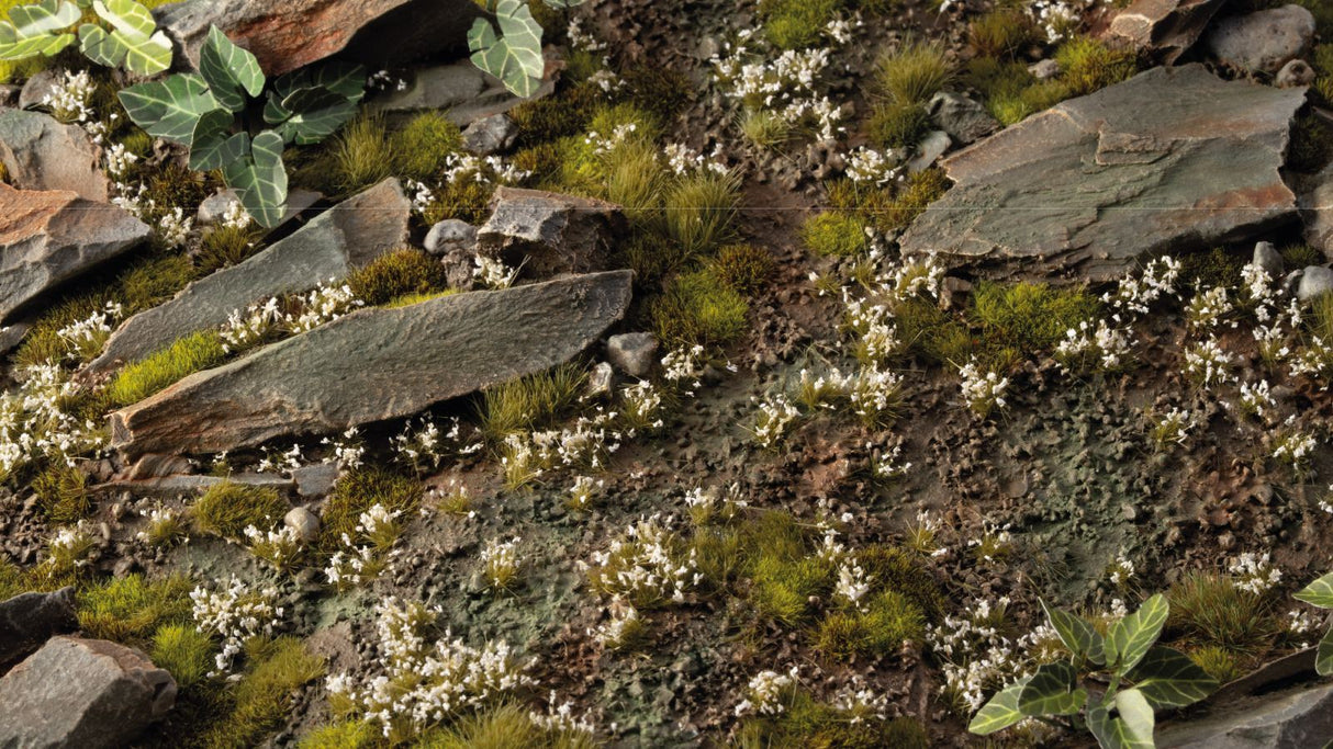 Gamers Grass - White Lily Tiny Flowers