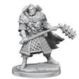 D&D Frameworks Human Male Fighter