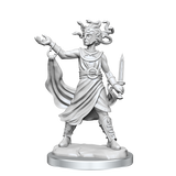 D&D Frameworks Medusa