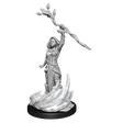 D&D Nolzurs Marvelous Unpainted Miniatures Human Druid Female