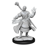 D&D Nolzurs Marvelous Unpainted Miniatures Half-Elf Wizard Male