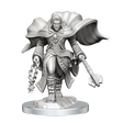 D&D Nolzurs Marvelous Unpainted Miniatures Aasimar Cleric Male