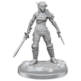 D&D Nolzurs Marvelous Miniatures Elf Rogue & Half-Elf Rogue Protege