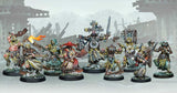 Trench Crusade - Carcass Front: Narrative Campaign Box