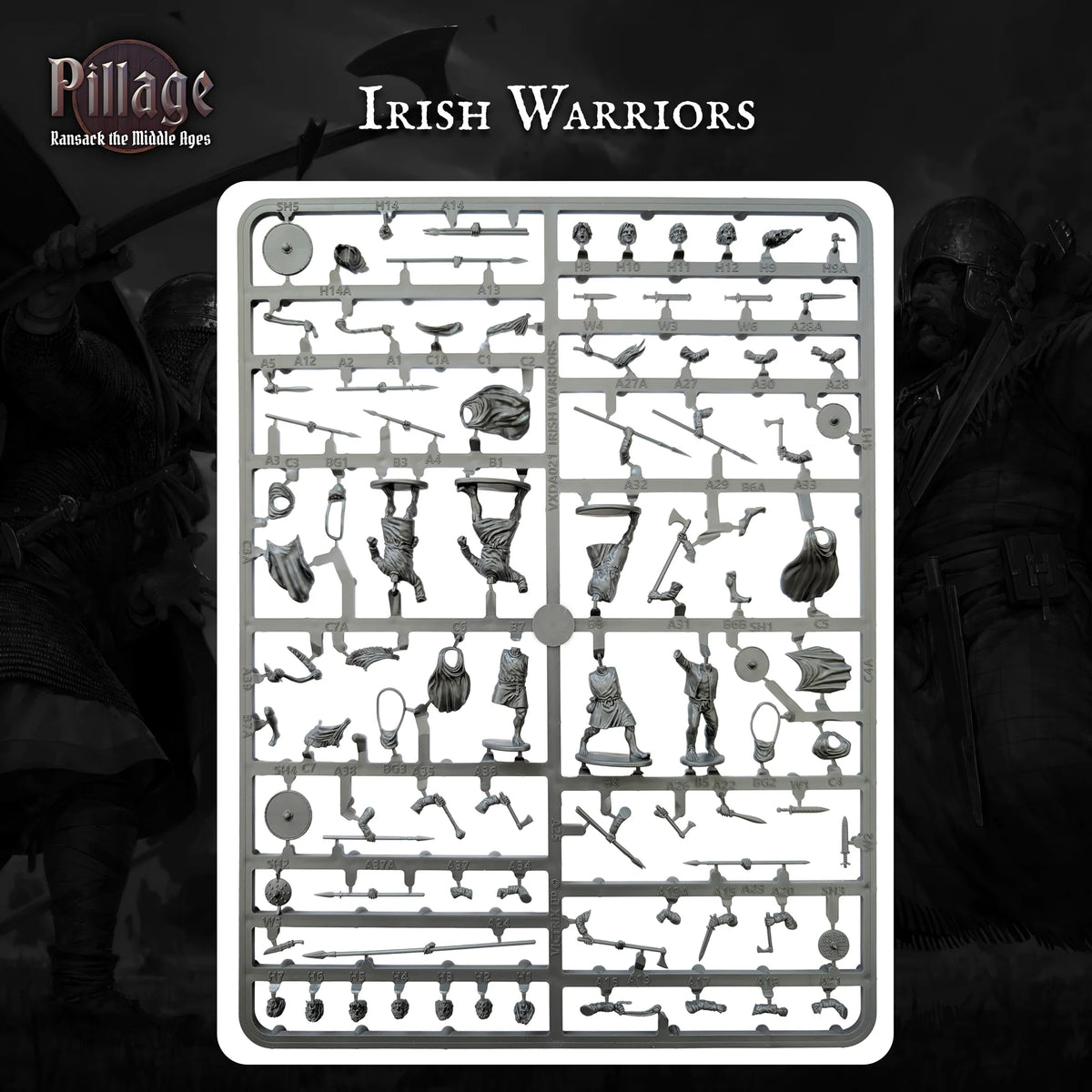 Pillage - Introductory Set