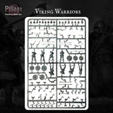 Pillage - Introductory Set