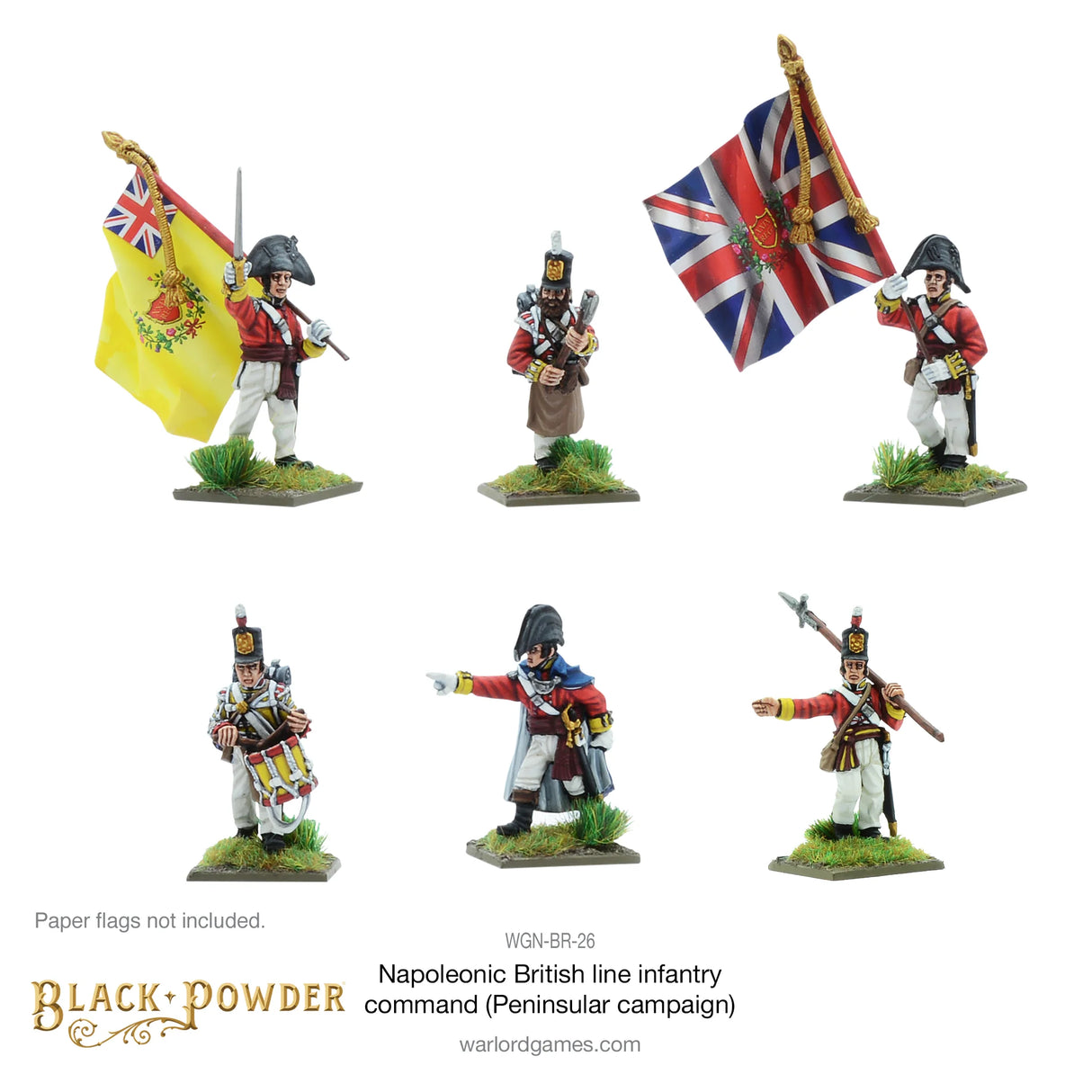 Black Powder - Napoleonic Wars: British Line Infantry Command (Peninsular Campaign)