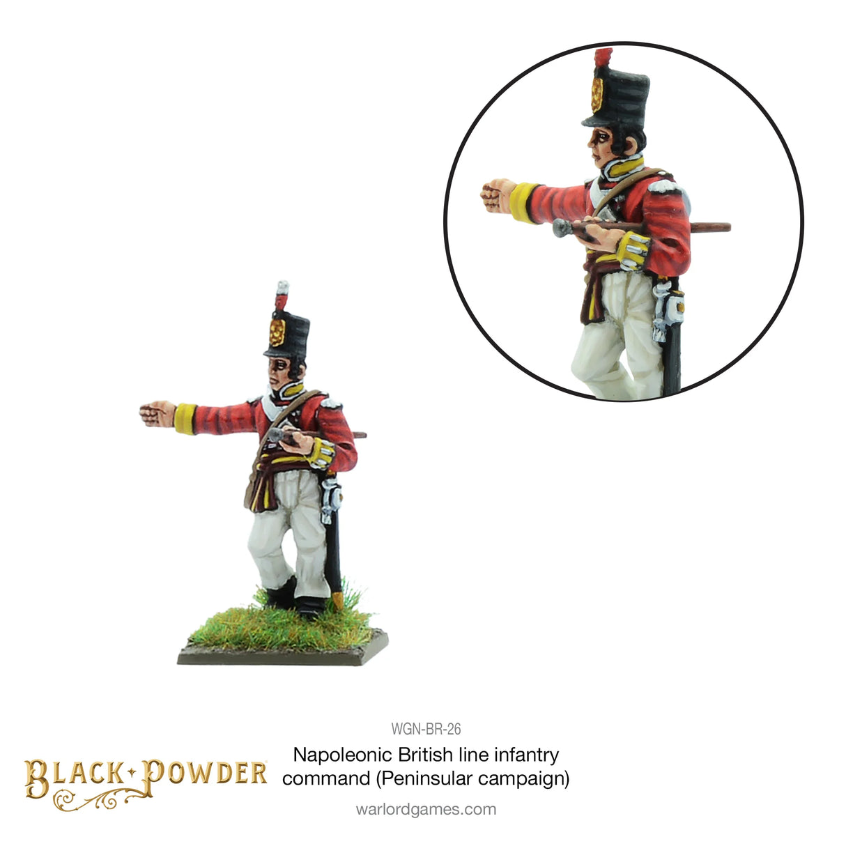 Black Powder - Napoleonic Wars: British Line Infantry Command (Peninsular Campaign)