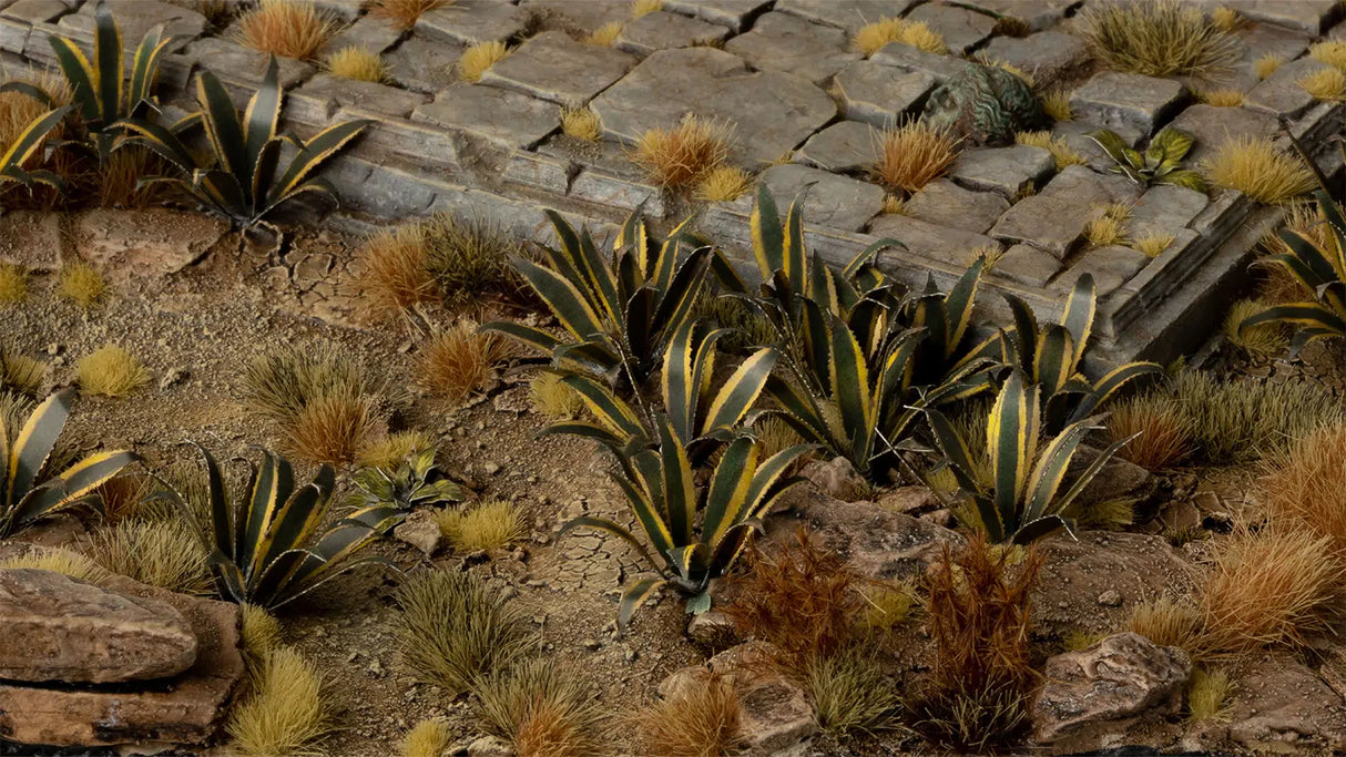 Gamers Grass - Laser Plants Agave