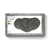 Battlefield in a Box - Large Rocky Hill