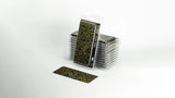 Gamers Grass - Laser Plants Dumb Cane