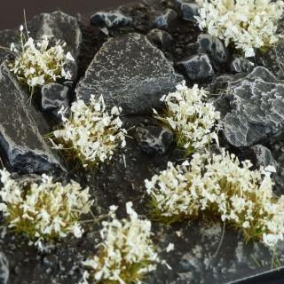 Gamers Grass - Original Flowers: White
