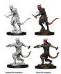 D&D Nolzurs Marvelous Unpainted Miniatures Tiefling Male Rogue