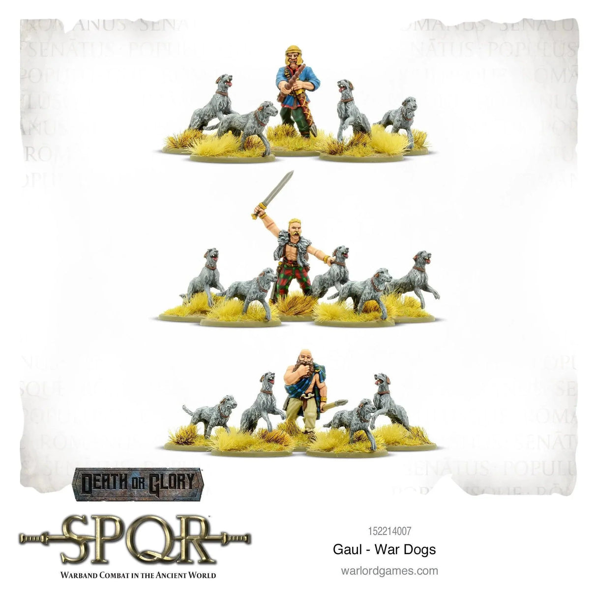SPQR - Gaul: War Dogs