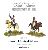 Black Powder - Napoleonic Wars: Mounted French Infantry Colonels